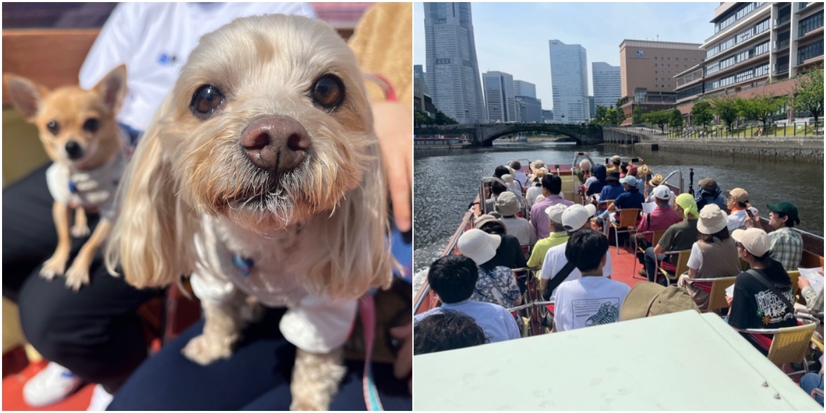 みなとみらい運河☆プチクルーズ