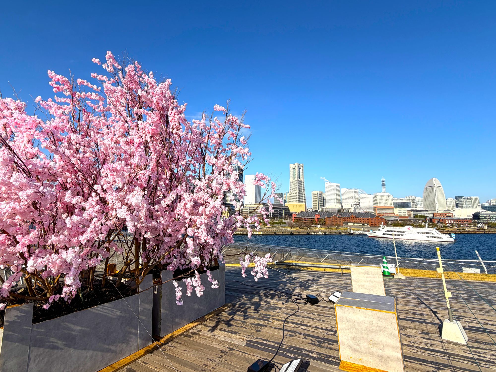 大さん橋さくら祭り2026