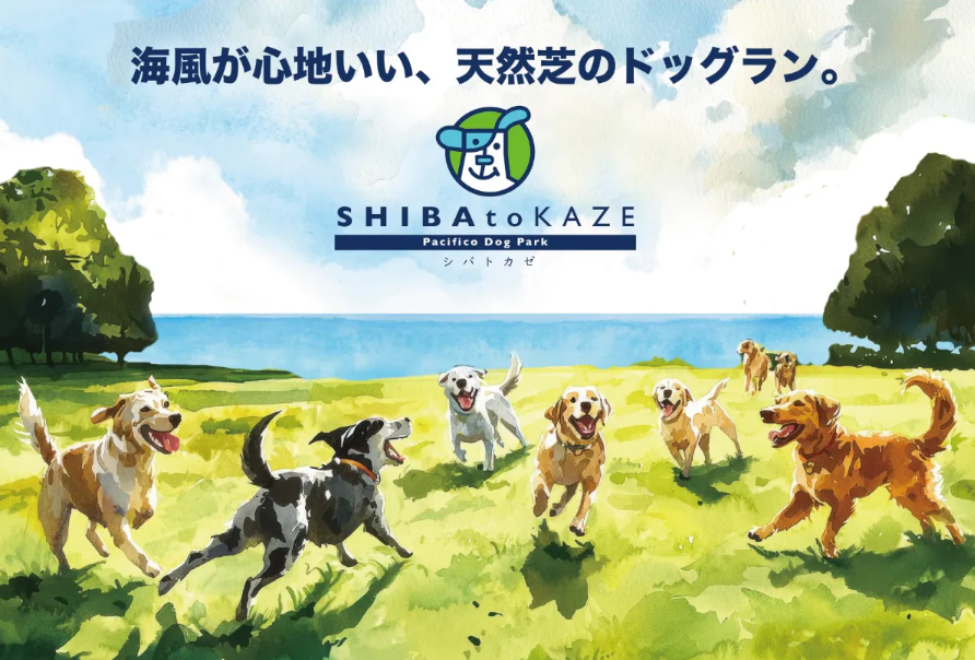 首都圏最大級 天然芝のドッグラン「SHIBA to KAZE Pacifico Dog Park」