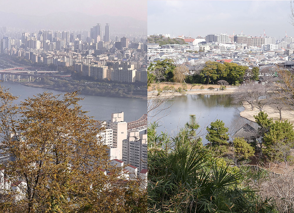 横浜美術館　アーティストとひらく　鎌田友介展：ある想像力、ふたつの土地