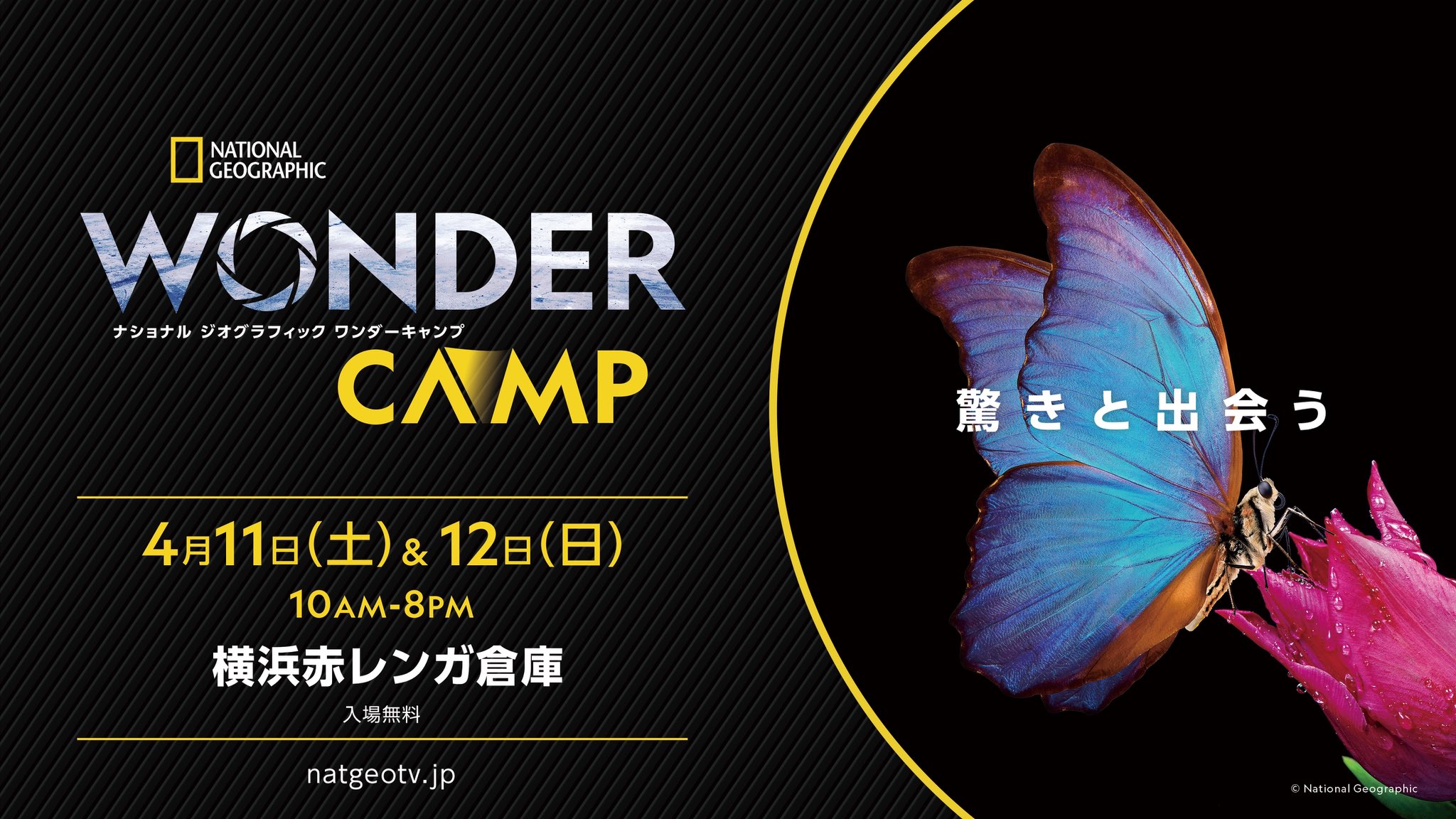 ナショナル ジオグラフィック ワンダーキャンプ