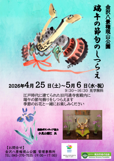 金沢八景権現山公園 旧円通寺客殿「端午の節句のしつらえ」