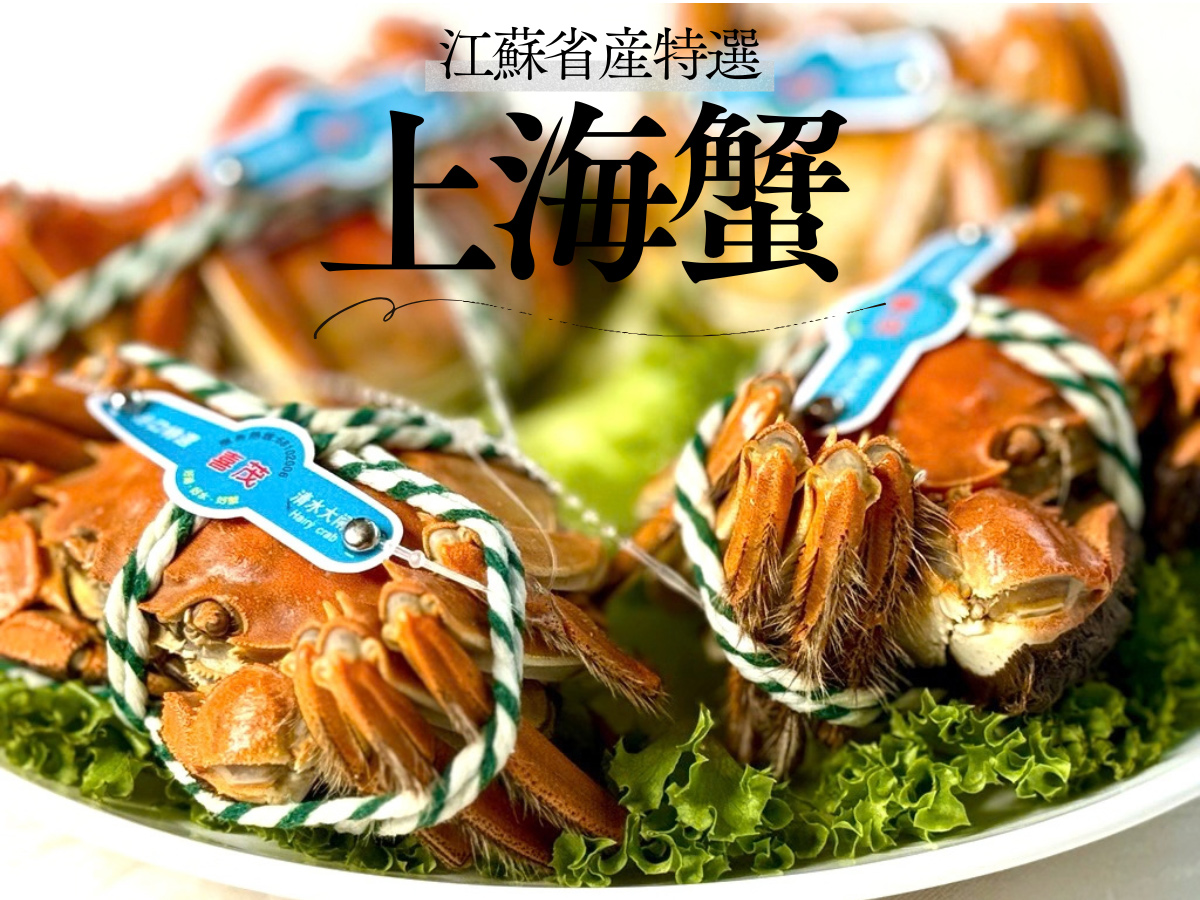 横浜中華街 華正樓　江蘇省産上海蟹入荷