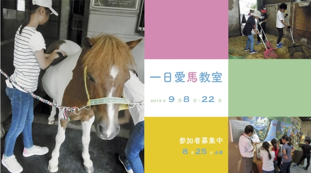 一日愛馬教室【事前申込制】