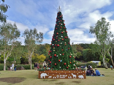 ハッピークリスマス In ズーラシア 公式 横浜市観光情報サイト Yokohama Official Visitors Guide