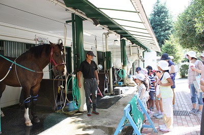 馬の博物館 夏休み企画イベント 公式 横浜市観光情報サイト Yokohama Official Visitors Guide