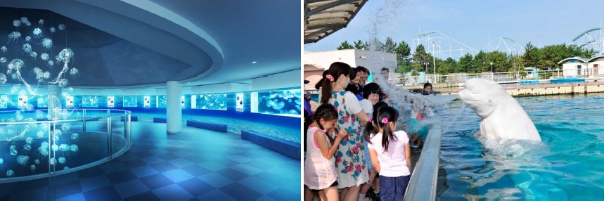 清涼感あふれる夏イベント開催!「ナツパラ!」