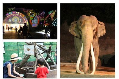 真夏の動物園クールビZOO