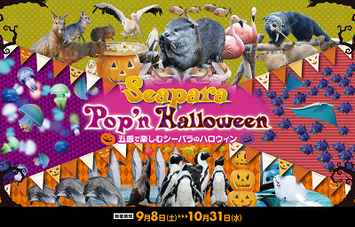 横浜・八景島シーパラダイス Seapara Pop'n Halloween