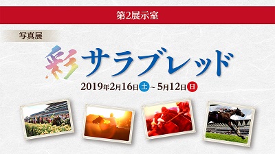 写真展「彩 サラブレッド」