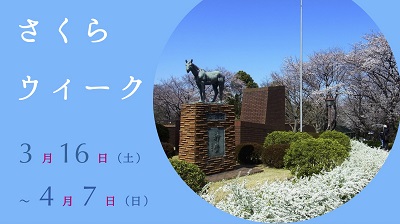 さくらウィーク in 馬の博物館
