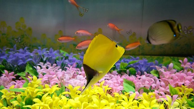 春の特別展示『~海の中も春色~スプリン魚(ギョ)大集合』
