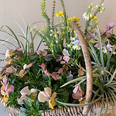 お花の寄せ植えワークショップ スプリングバスケットづくり