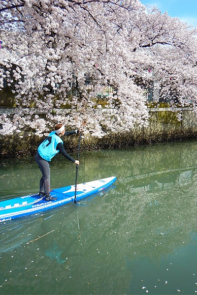 春の大岡川桜SUPツアー