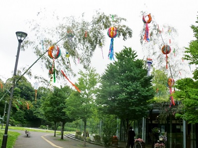 県立三ツ池公園 夏の観察会とネイチャー七夕飾り 公式 横浜市観光情報サイト Yokohama Official Visitors Guide