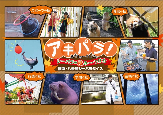シーパラならではの秋イベント「アキパラ!」