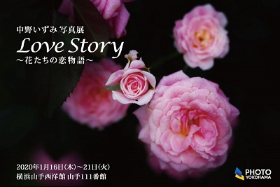 山手111番館「中野いずみ　写真展 Love Story ～花たちの恋物語～」