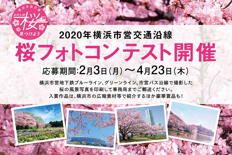 2020年横浜市営交通沿線　桜フォトコンテスト開催