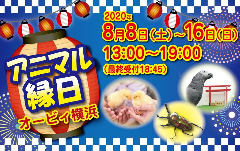 涼しい屋内型パーク オービィ横浜 で動物たちと夏満喫 アニマル縁日 開催 公式 横浜市観光情報サイト Yokohama Official Visitors Guide