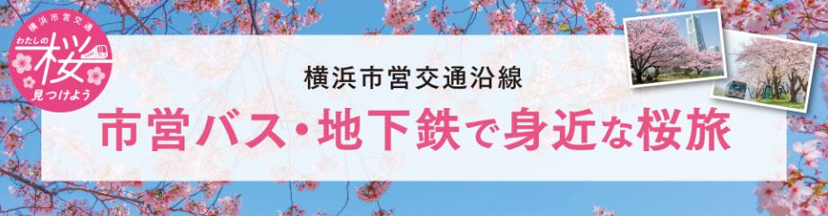市営バス 地下鉄で身近な桜旅 身近な場所で桜の季節を感じてみませんか 公式 横浜市観光情報サイト Yokohama Official Visitors Guide