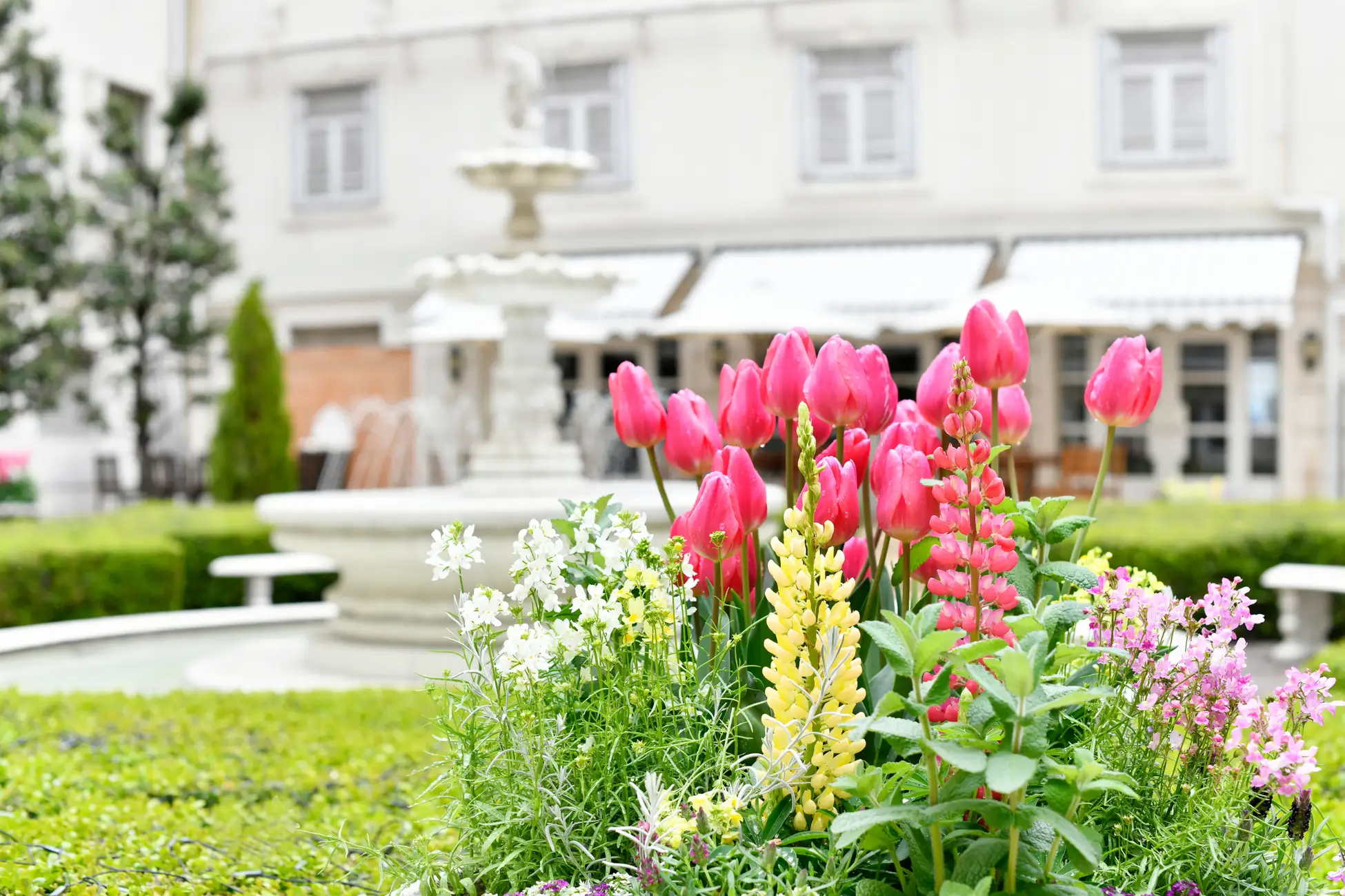 ホテルニューグランド 「花と緑の庭園」（「ガーデンネックレス横浜 2026」連携イベント）